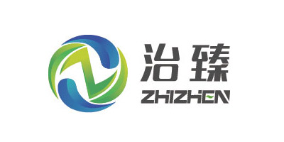 上海治臻新能源装备有限公司