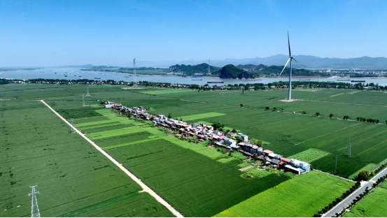 风光储氢加持,长江流域首个“零碳岛”正式投运